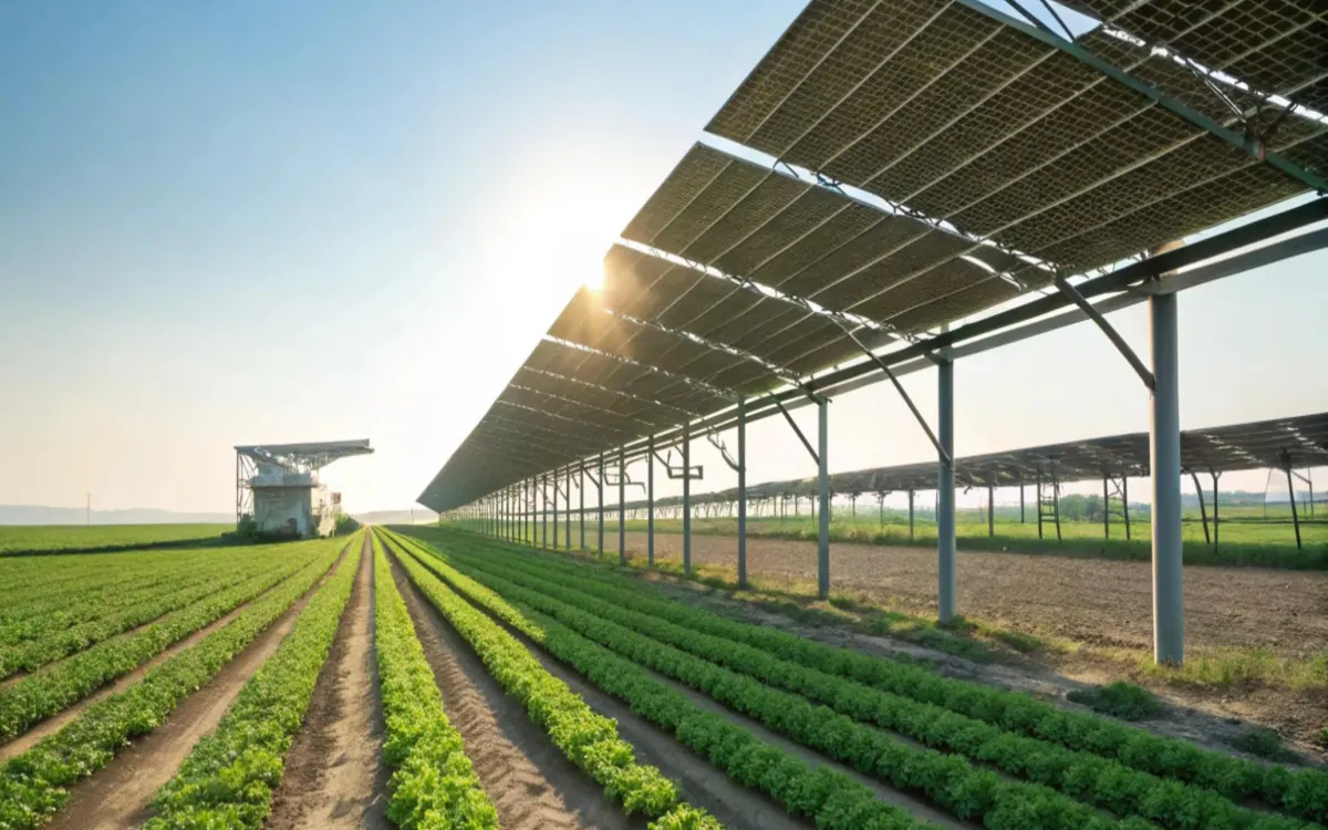 Agrivoltaic Applications of Bifacial Solar Panels Bifacial solar panels used in agrivoltaic solar system for agriculture